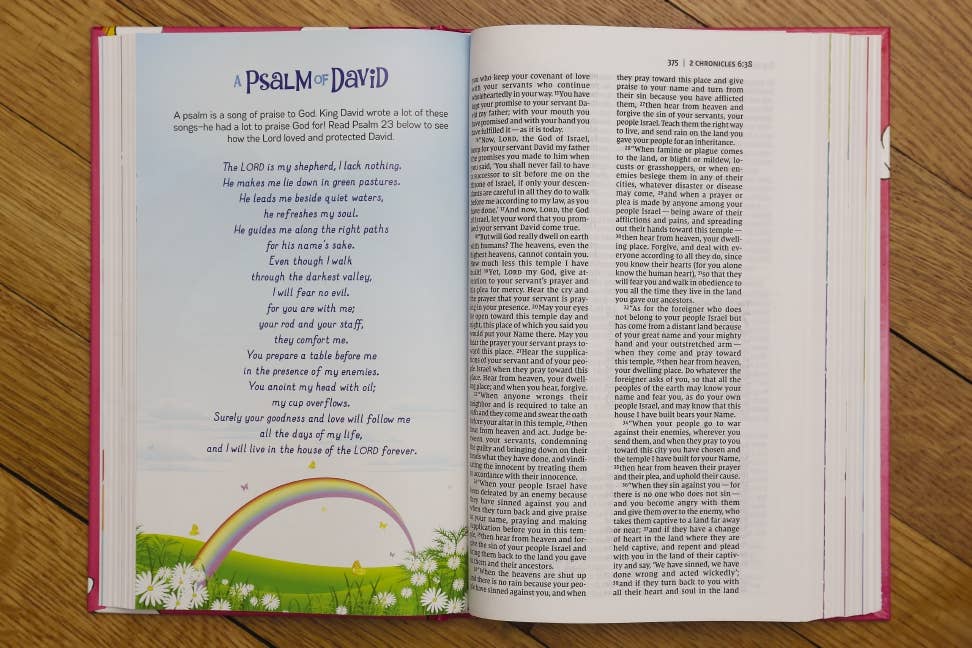 NIV God's Rainbow Holy Bible, Hardcover