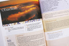 NIV Application Bible Leathersoft Coral Gray Red Letter