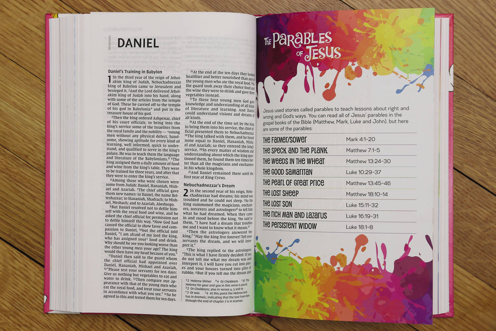 NIV God's Rainbow Holy Bible, Hardcover