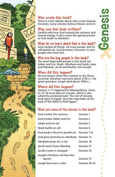 NIV Adventure Bible, Paperback, Full Color