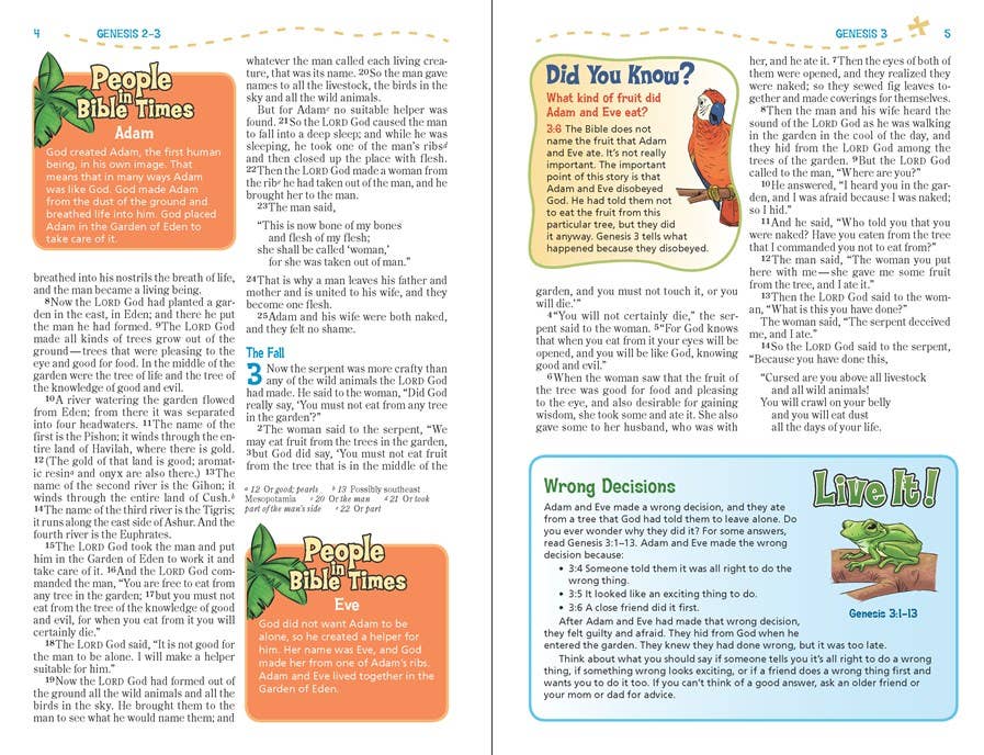 NIV Adventure Bible, Paperback, Full Color