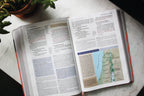 NIV Application Bible Leathersoft Coral Gray Red Letter