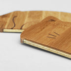 Cat Hair Remover | Reusable Pet Hair Tool