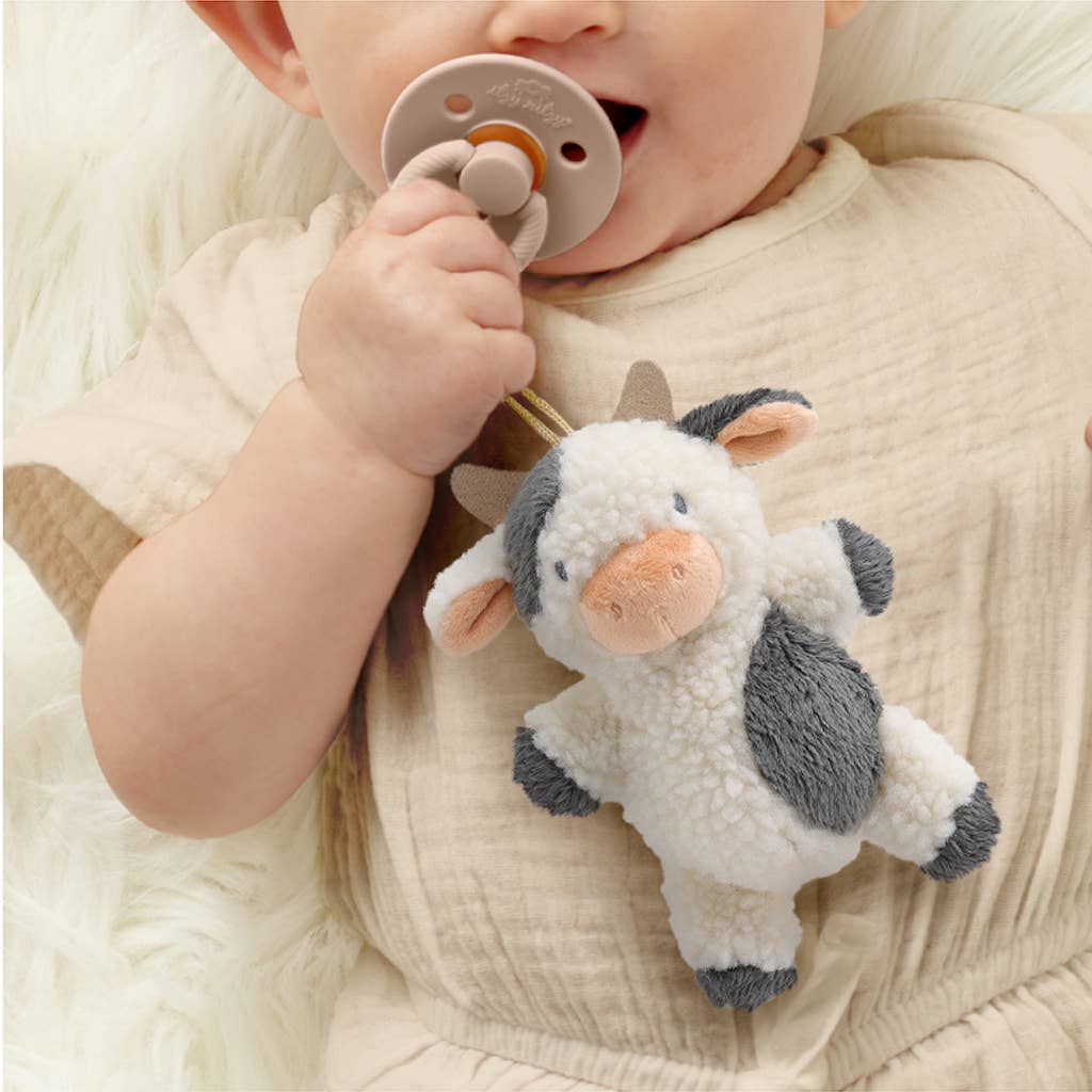 *NBitzy Pal Natural Rubber Pacifier & Plush
