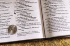NIV Value Thinline Bible, Large Print, Leathersoft, Brown