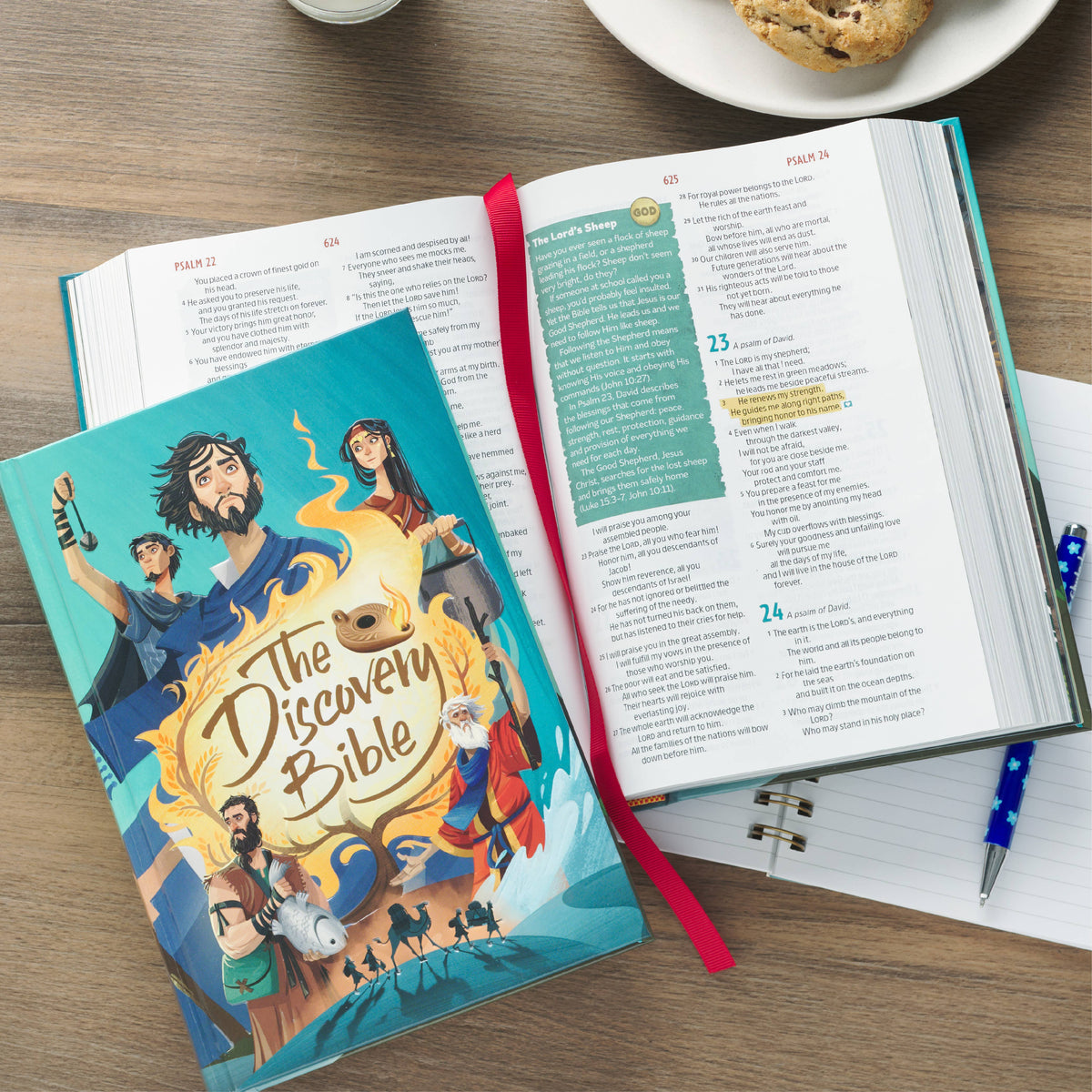 The Discovery Bible Hardcover