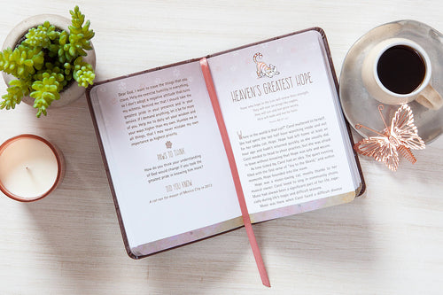 52 Devotions for Cat Lovers (52 Day Devotional)