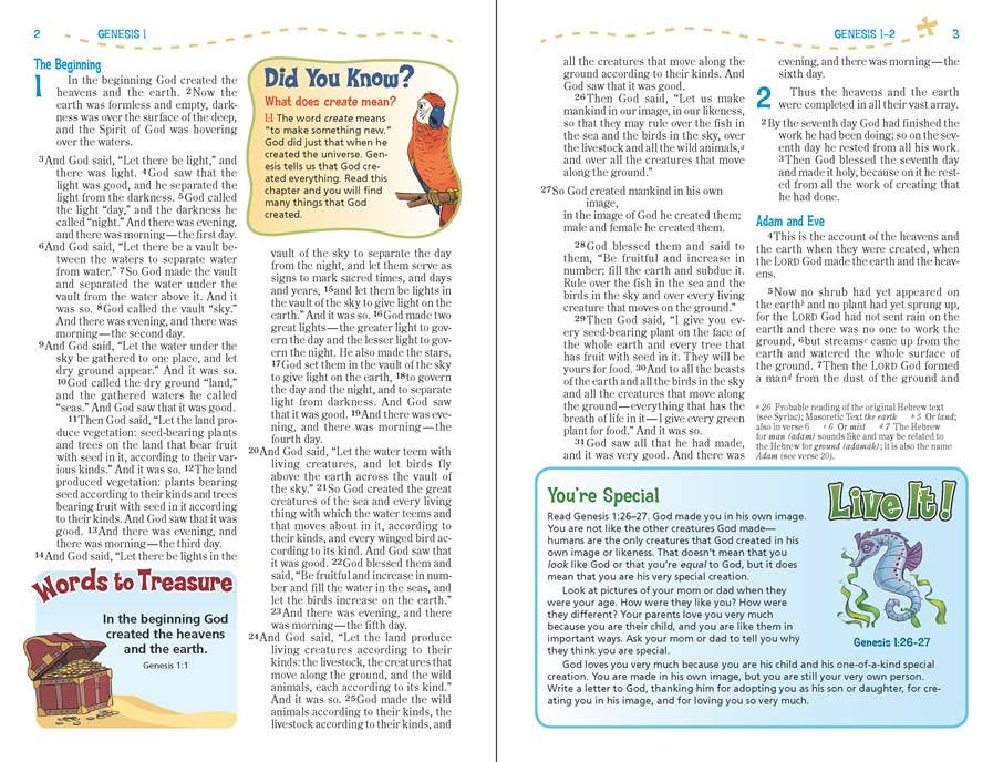 NIV Adventure Bible, Paperback, Full Color