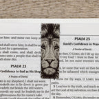 Magnetic Bookmark Set Strong and Courageous