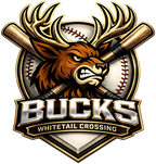 WASHINGTON COUNTY YOUTH SPORTS