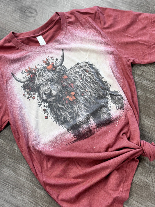HIGHLAND COW FALL