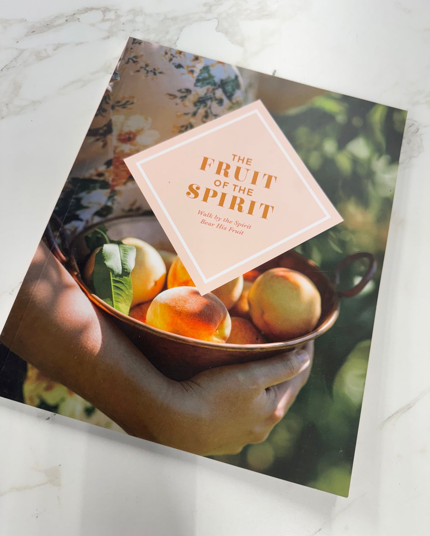 THE FRUIT OF THE SPIRIT DEVOTIONAL