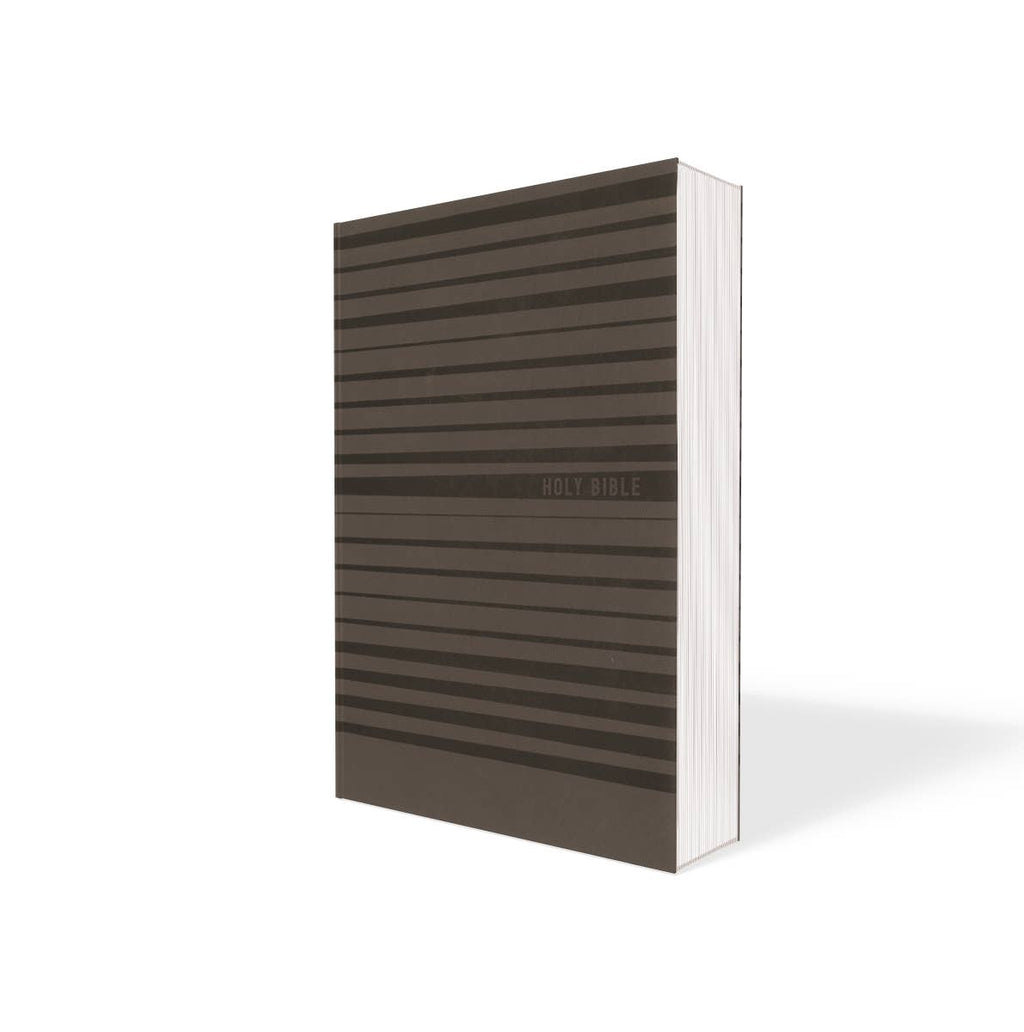 NIV Bible for Boys, Soft Touch Edition, Leathersoft, Gray