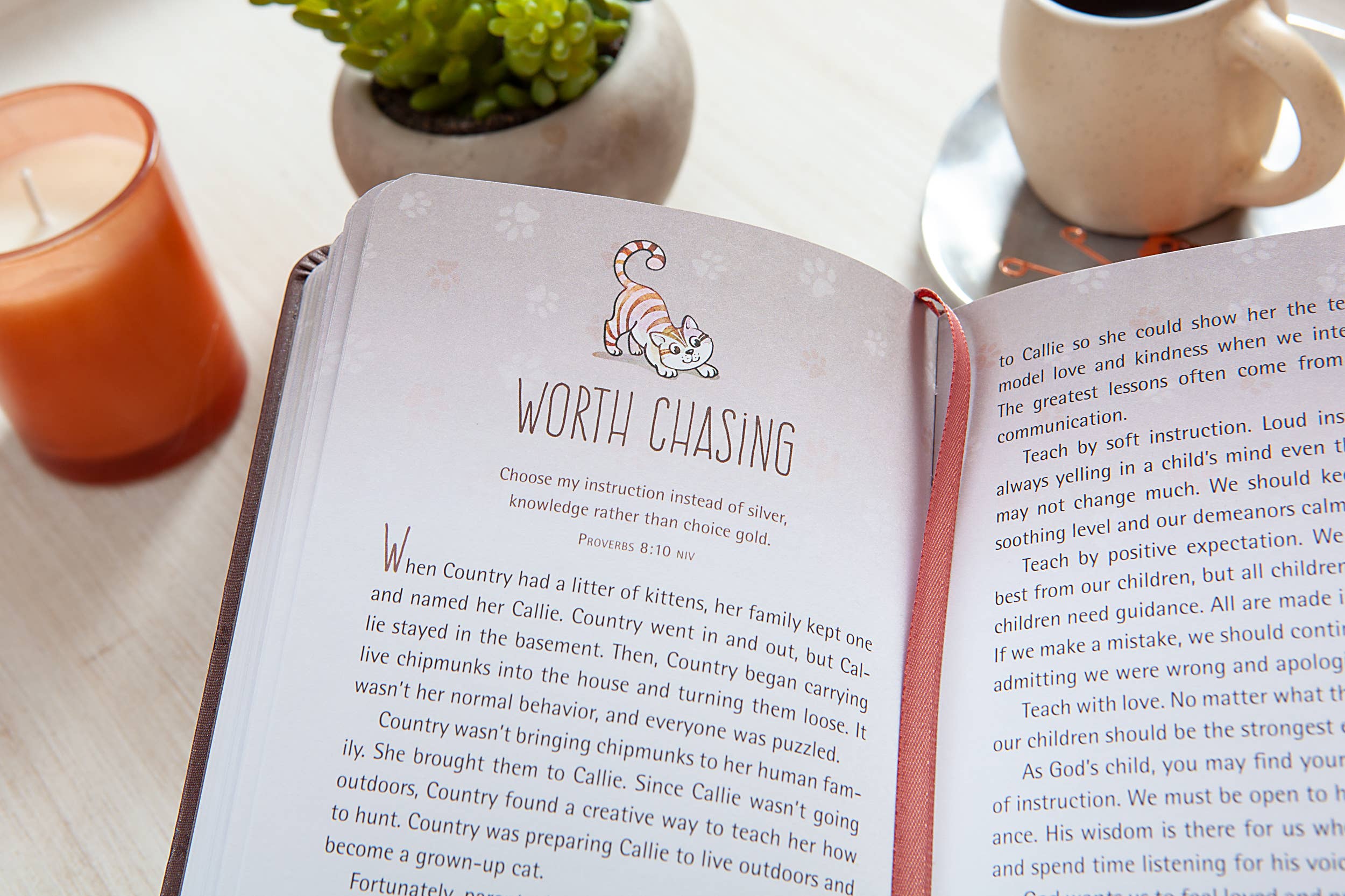 52 Devotions for Cat Lovers (52 Day Devotional)