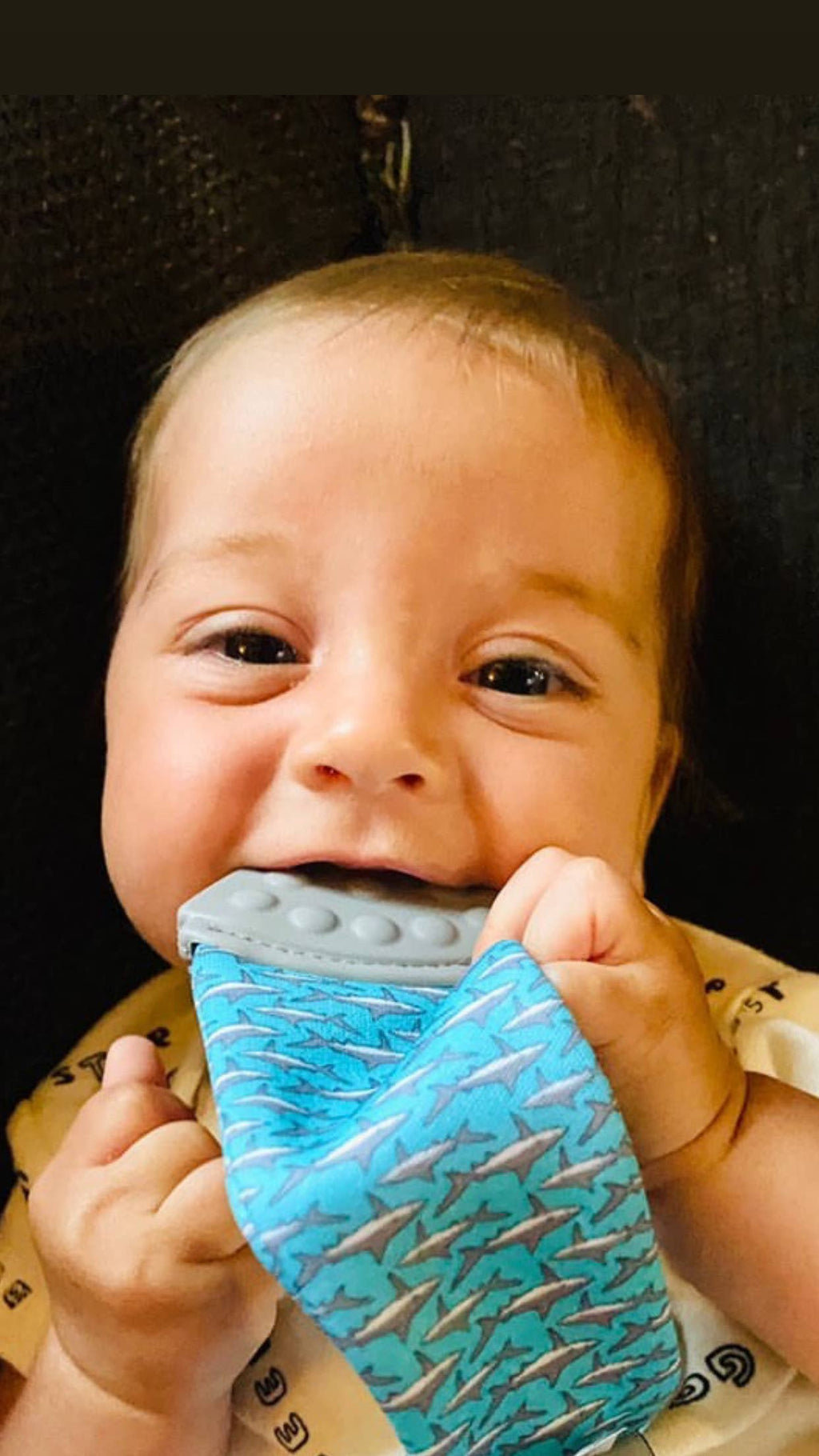 Tasty Tie Teether, Crinkle Toy, Baby Boy Gift (Shark)