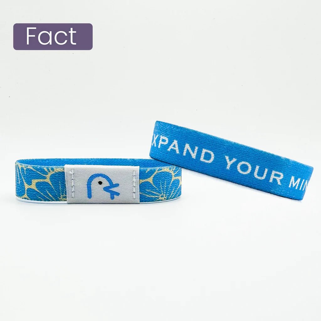 YAPPY BIBLE VERSE BRACELET