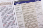 NIV Application Bible Leathersoft Coral Gray Red Letter