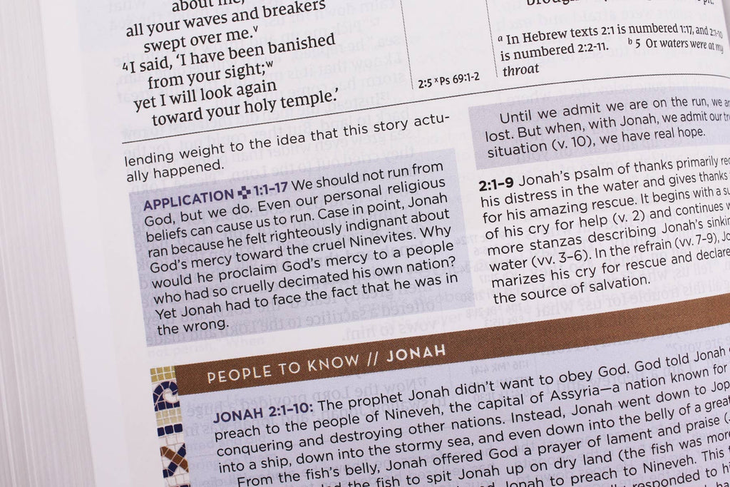 NIV Application Bible Leathersoft Coral Gray Red Letter