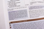 NIV Application Bible Leathersoft Coral Gray Red Letter