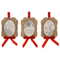 Holiday Message Frame Ornaments